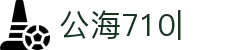 公海·赌船 (中国)唯一官方网站